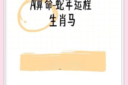 每个月属马运势变化，如何应对挑战
