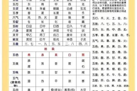 五行对照表的应用与理解解析