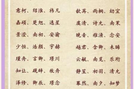 为未来的宝宝选择名字：父母必读的建议