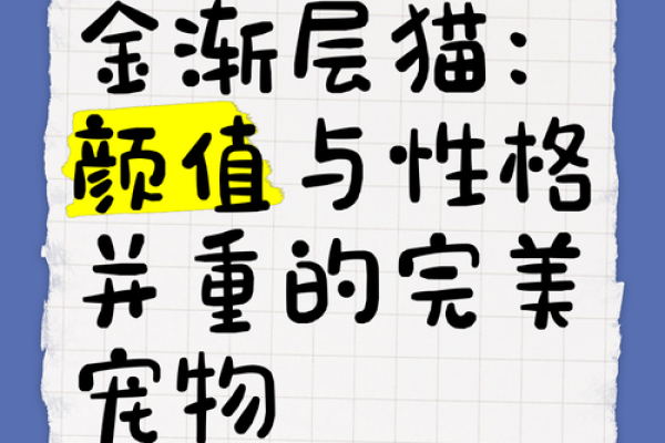 从性格到外貌,给女猫取名字的完美指南 从性格到外貌,给女猫取名字的完美指南