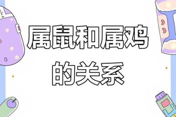 女属鸡男属鼠的配对是否和谐?生肖相合与否的深度解析 女属鸡男属鼠的配对是否和谐?生肖相合与否的深度解析