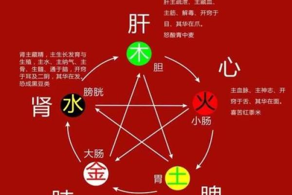揭秘群五行属性:了解每种属性对人际关系的影响 揭秘群五行属性:了解每种属性对人际关系的影响