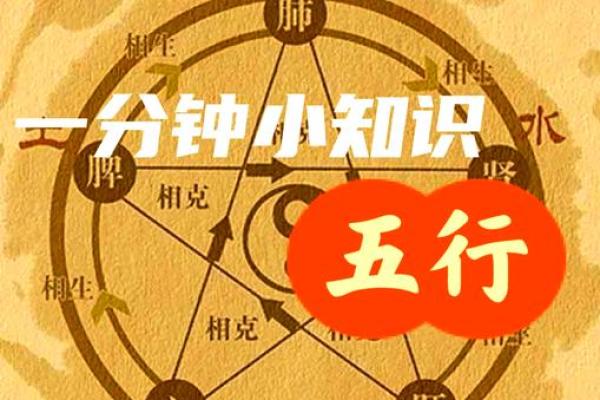 五行属性:你了解五行的真正奥秘吗? 五行属性:你了解五行的真正奥秘吗?