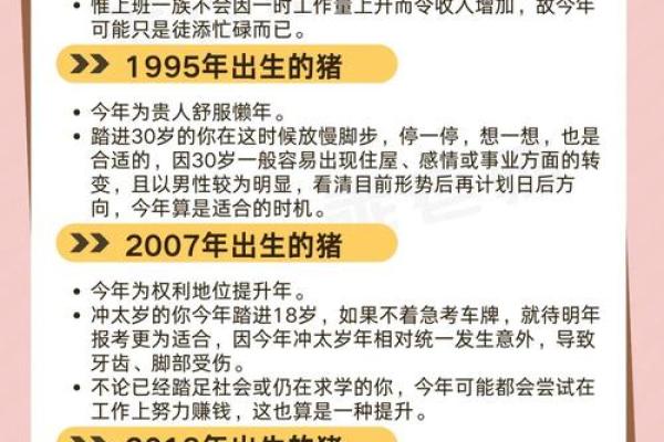 出生属猪人运程详解 出生属猪人运程详解