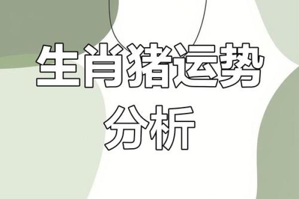 出生属猪人运程详解 出生属猪人运程详解