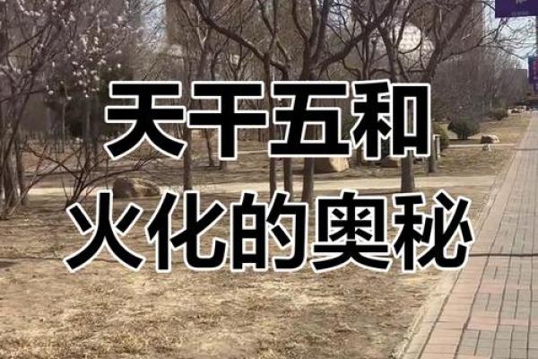 燃烧的力量:探索火焰带来的启示与象征意义 燃烧的力量:探索火焰带来的启示与象征意义