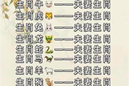 女属鸡男属鼠的配对是否和谐？生肖相合与否的深度解析