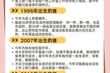 出生属猪人运程详解