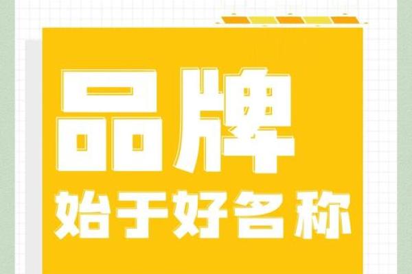 网络公司起名网助你轻松打造独特企业品牌名称 网络公司起名网助你轻松打造独特企业品牌名称