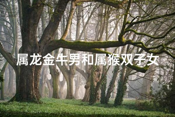 属龙男和属牛女的性格契合度如何 属龙男和属牛女的性格契合度如何
