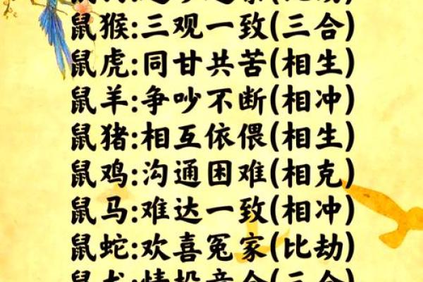探索属猴和属鼠配对的五大优点 让爱情更美好 探索属猴和属鼠配对的五大优点 让爱情更美好