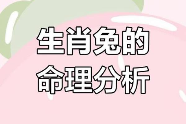 出生的人属什么命?探索生肖兔的命运与性格特点 出生的人属什么命?探索生肖兔的命运与性格特点