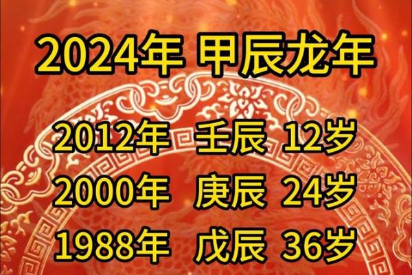 属龙本命年如何选择适合的投资机会 属龙本命年如何选择适合的投资机会