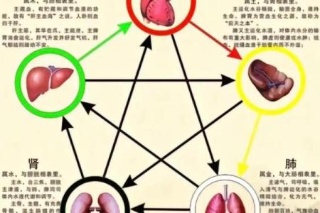 治的五行对身体健康的影响，你知道吗？