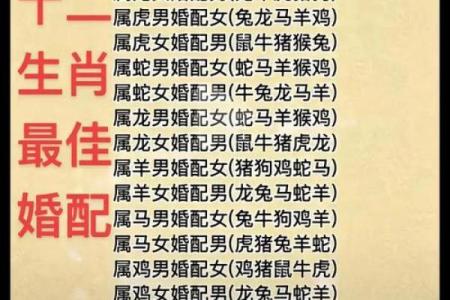 甲子日柱婚姻配对的隐秘规律
