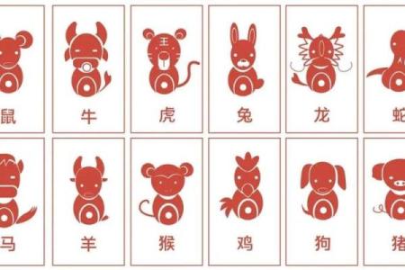 八字易安居：如何通过八字选择最适合的居住环境