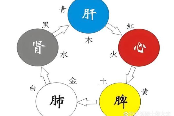 如何判断自己是火命还是水命 如何判断自己是火命还是水命