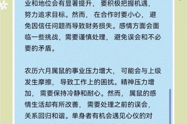 属鼠今日运势全景分析,健康和事业的关键时刻 属鼠今日运势全景分析,健康和事业的关键时刻