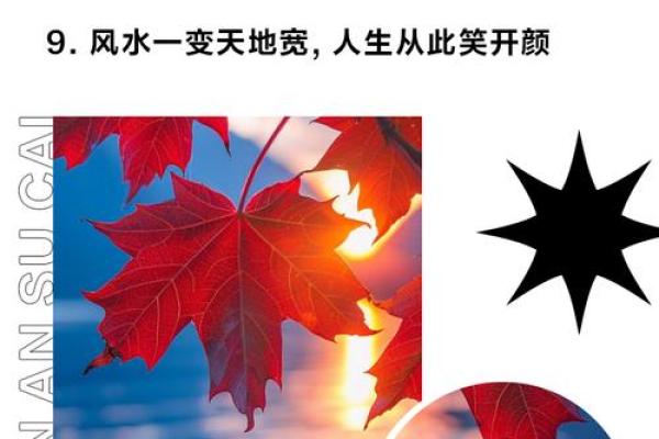 如何通过风水调整家居环境带来好运 如何通过风水调整家居环境带来好运