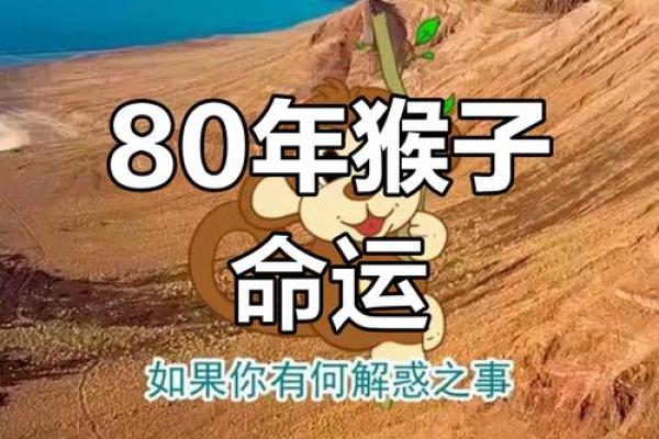 了解属猴人今日的运势变化与重点 了解属猴人今日的运势变化与重点
