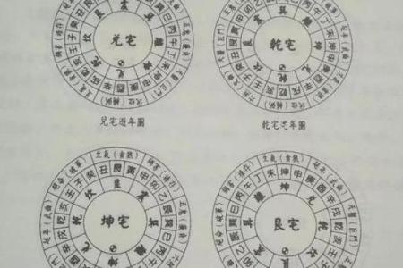 震命与东四命的深度解析及其生活影响