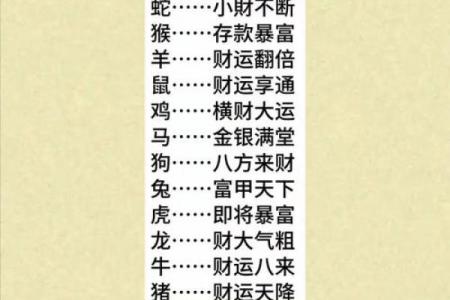 生肖如何影响你的办公环境风水