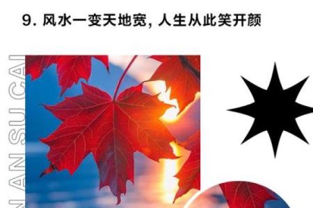 如何通过风水调整家居环境带来好运