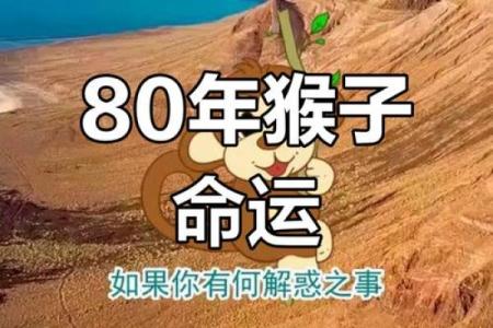 了解属猴人今日的运势变化与重点