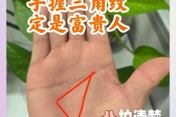 男人富贵命的手相特征揭秘 男人富贵命的手相特征揭秘
