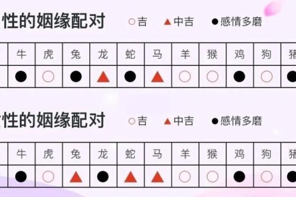 男马与女马的爱情能走多远? 男马与女马的爱情能走多远?