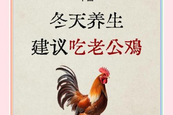 本命年属鸡的健康养生方法 本命年属鸡的健康养生方法