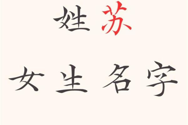 给苏姓宝宝起个有寓意的名字 给苏姓宝宝起个有寓意的名字
