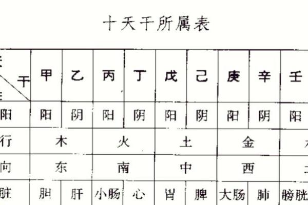 免费八字详解:如何通过八字了解你的命运走势 免费八字详解:如何通过八字了解你的命运走势