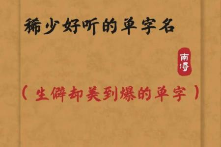 独特魅力的单字名字推荐