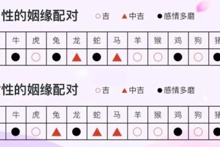 男马与女马的爱情能走多远？