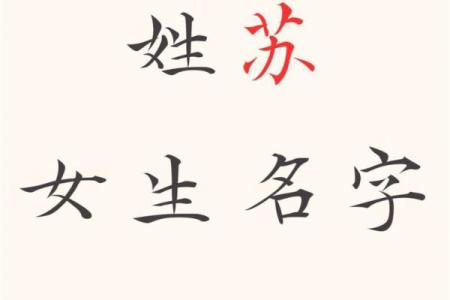 给苏姓宝宝起个有寓意的名字