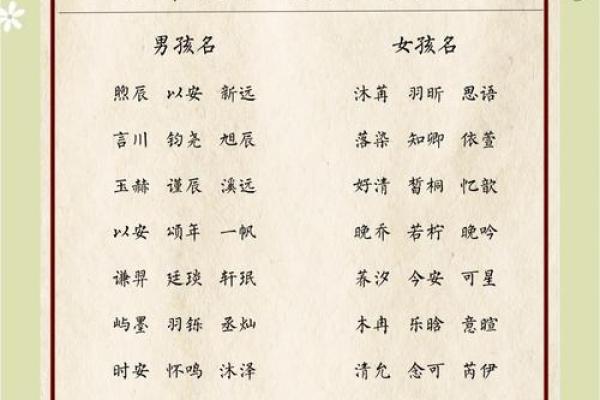 外国小孩名字中的流行趋势与经典选择 外国小孩名字中的流行趋势与经典选择