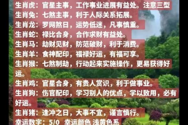 农历每日属相查询,掌握命运玄机 农历每日属相查询,掌握命运玄机