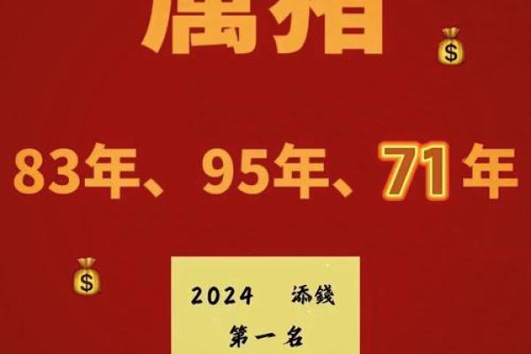 揭秘刘轩宇五行命理,如何通过五行调整运势提升生活质量 揭秘刘轩宇五行命理,如何通过五行调整运势提升生活质量
