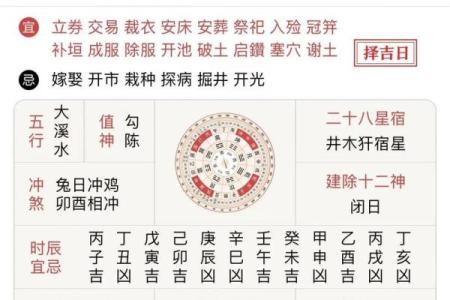 生肖运势与命理：运程大师为你揭示未来