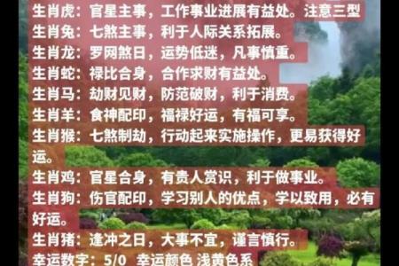 农历每日属相查询，掌握命运玄机