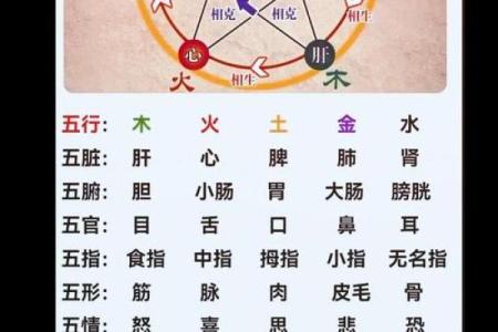 五行属性解析：如何通过五行来了解自己的性格与命运