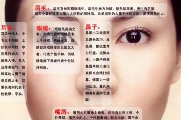 五行木命的特点与命运影响 五行木命的特点与命运影响