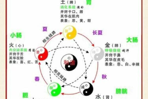 文字与五行的关系:探索字义背后的深层次含义 文字与五行的关系:探索字义背后的深层次含义