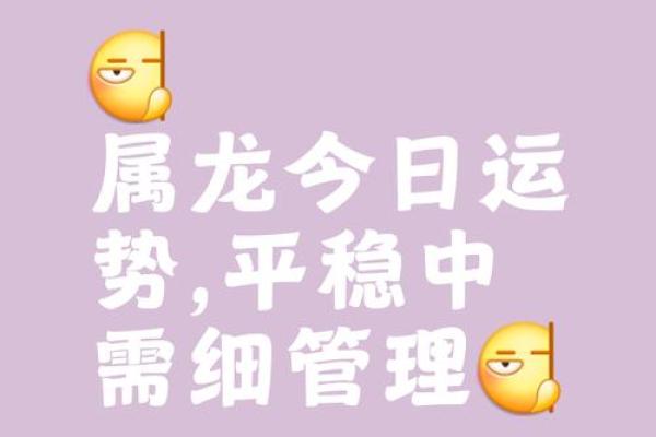 属龙人今日运势:如何把握好运,避开隐患 属龙人今日运势:如何把握好运,避开隐患