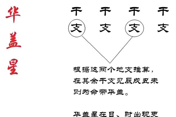 名字背后的深层含义与命运的微妙联系 名字背后的深层含义与命运的微妙联系