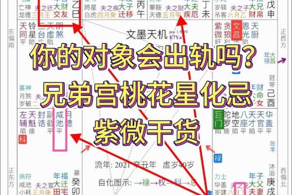 男命双桃花到底代表什么?解密背后的玄机 男命双桃花到底代表什么?解密背后的玄机