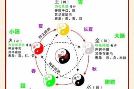 文字与五行的关系：探索字义背后的深层次含义