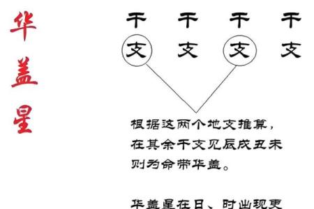 名字背后的深层含义与命运的微妙联系