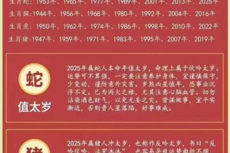 属龙本命年如何应对生活中的意外变故
